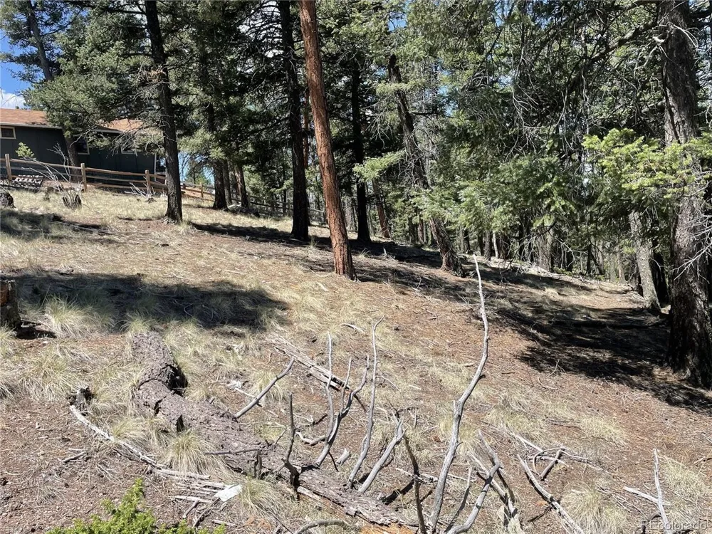 971 Spring Valley Lane Florissant, CO 80816