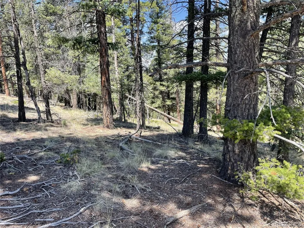 971 Spring Valley Lane Florissant, CO 80816