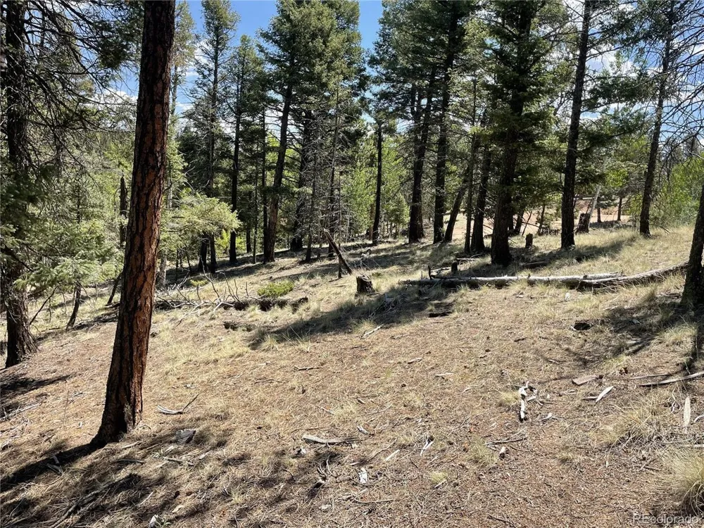 971 Spring Valley Lane Florissant, CO 80816