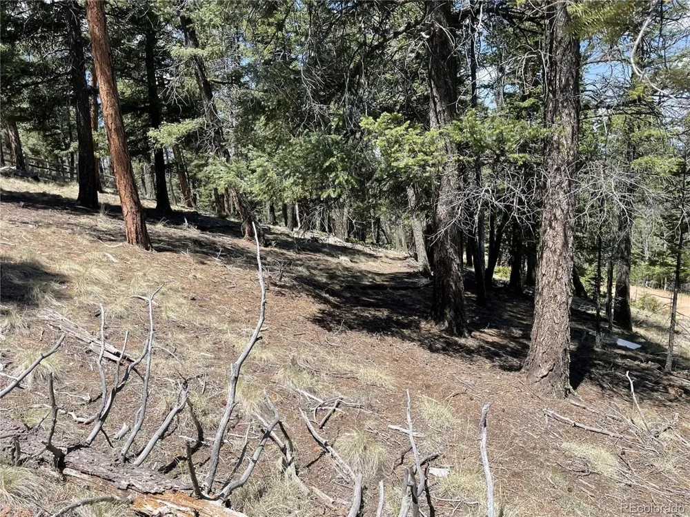 971 Spring Valley Lane Florissant, CO 80816