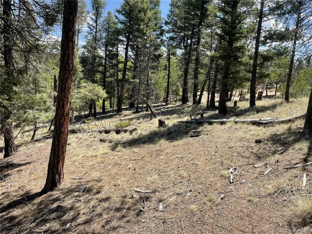 971 Spring Valley Lane Florissant, CO 80816