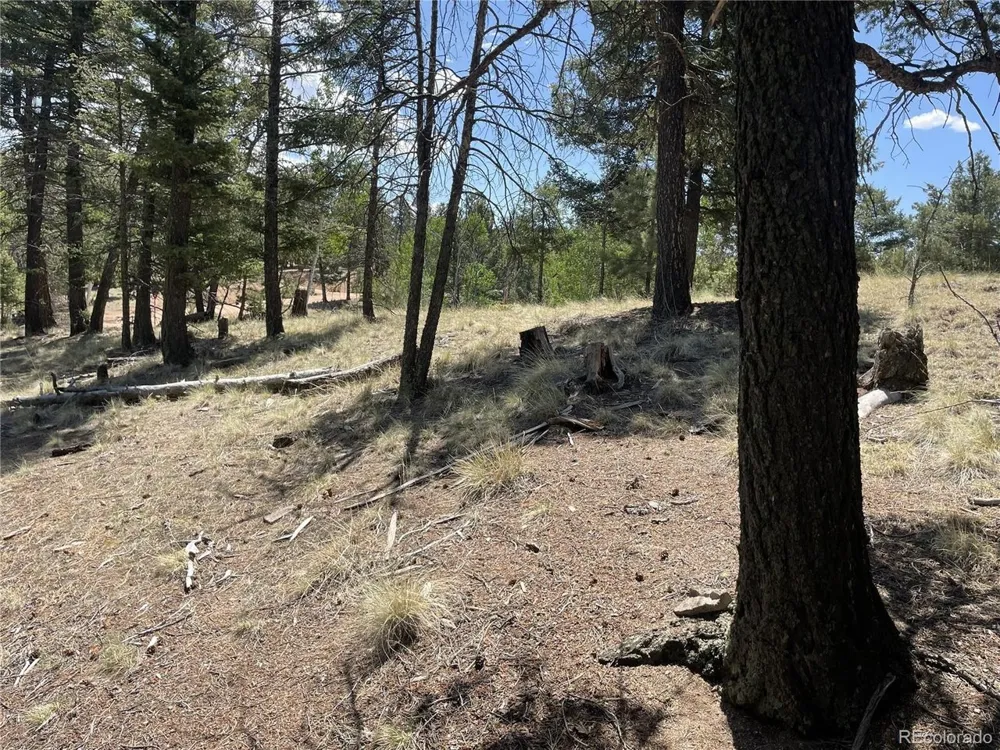 971 Spring Valley Lane Florissant, CO 80816