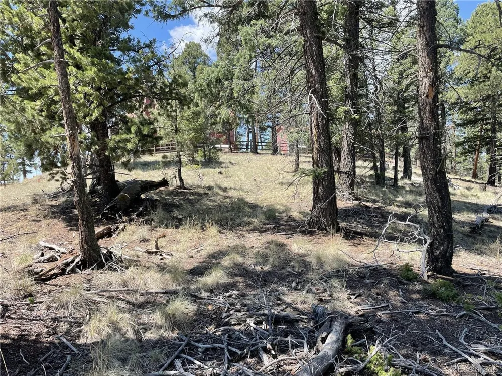971 Spring Valley Lane Florissant, CO 80816