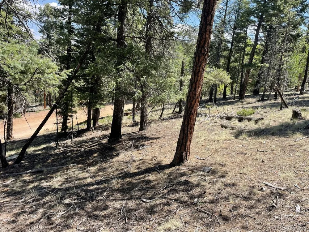 971 Spring Valley Lane Florissant, CO 80816