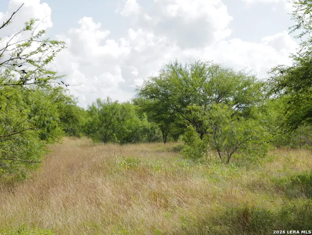 TBD LOT 5 CR 208 Hobson, TX 78117