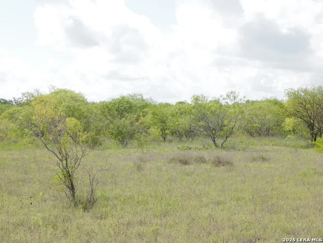 TBD LOT 5 CR 208 Hobson, TX 78117
