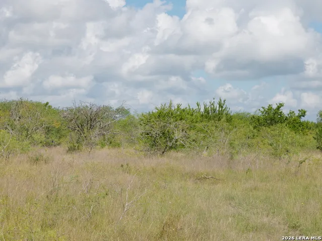 TBD LOT 5 CR 208 Hobson, TX 78117