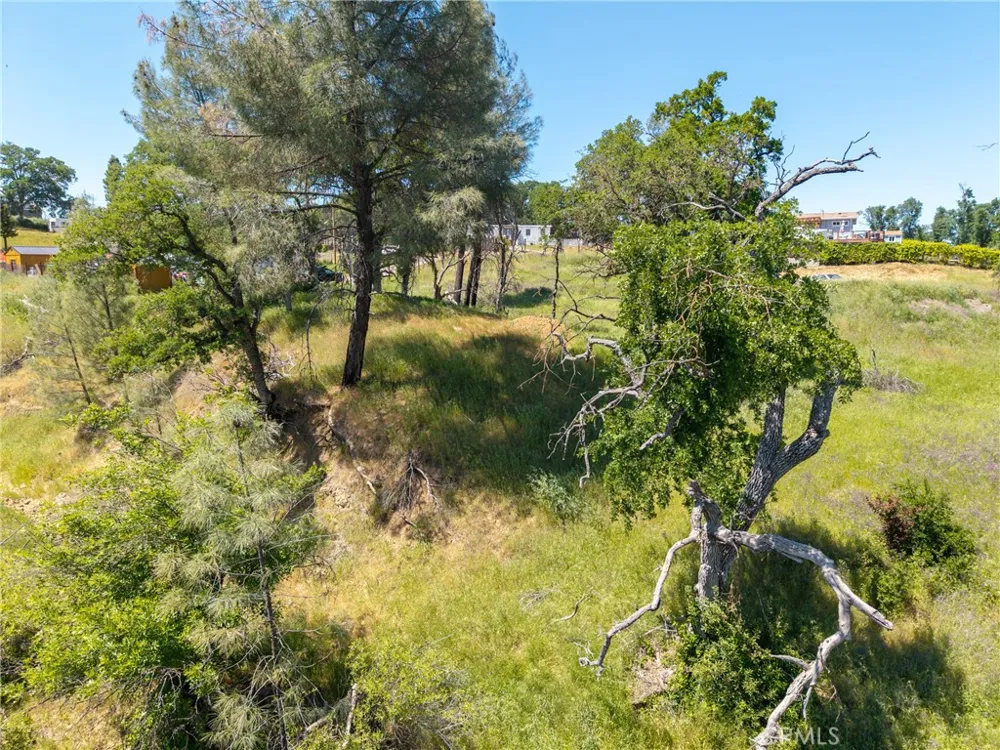 17105 Deer Park Lower Lake, CA 95457