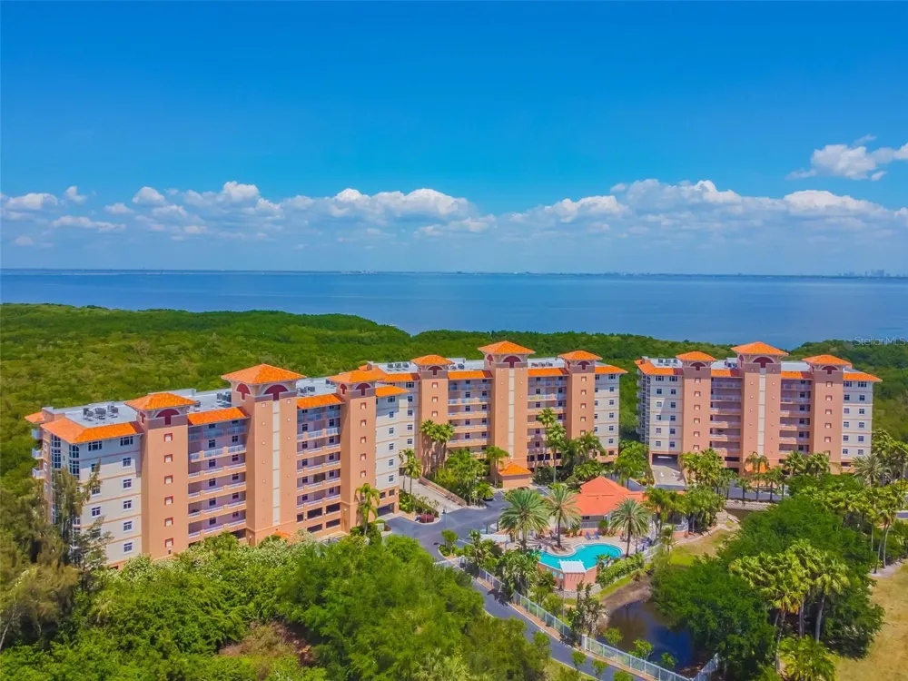 12033 GANDY BOULEVARD #151 St Petersburg, FL 33702