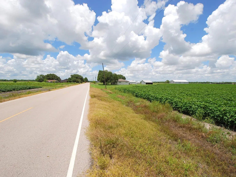 2606 Long Lane Wallis, TX 77485