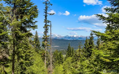2000 Rocky Mountain Way