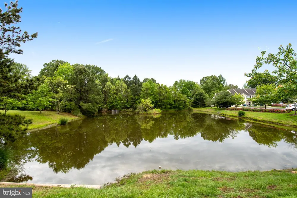 504 WHEATLEY DRIVE Easton, MD 21601
