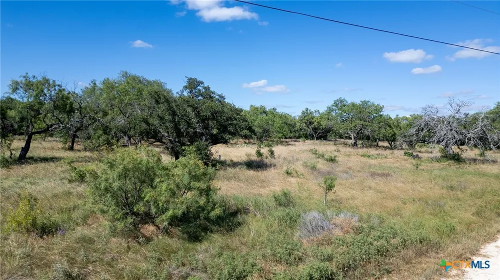 2820 Pr 4211 Evant, TX 76525