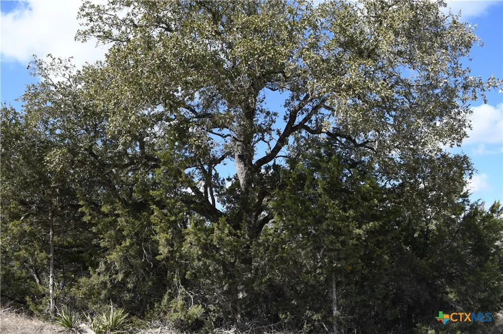 979 Deer Valley Pass Spring Branch, TX 78070