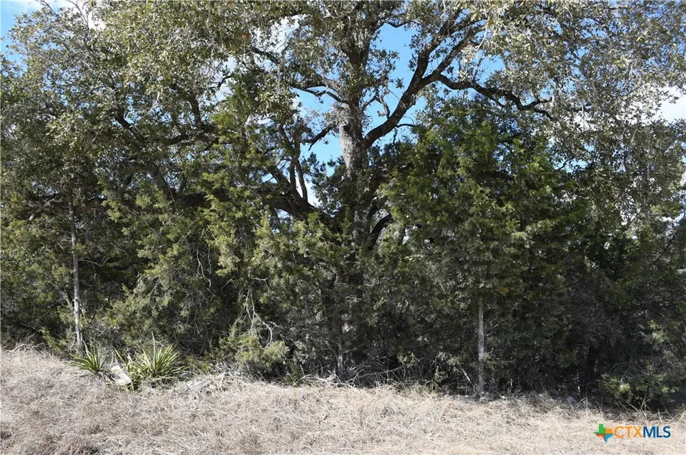 979 Deer Valley Pass Spring Branch, TX 78070