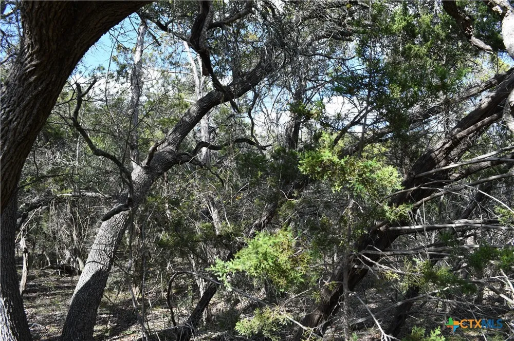 979 Deer Valley Pass Spring Branch, TX 78070