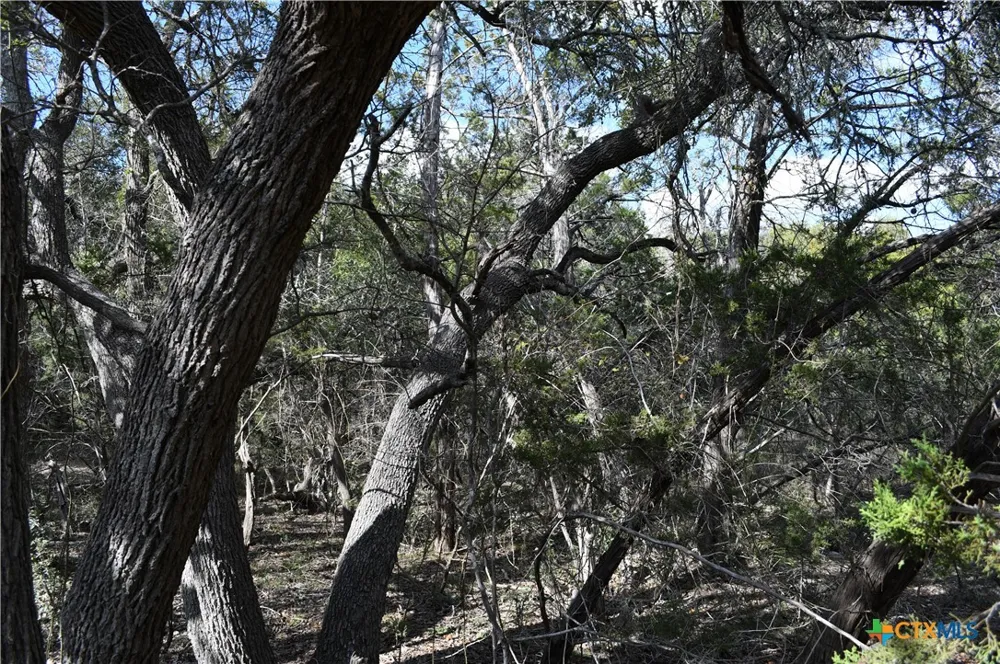 979 Deer Valley Pass Spring Branch, TX 78070