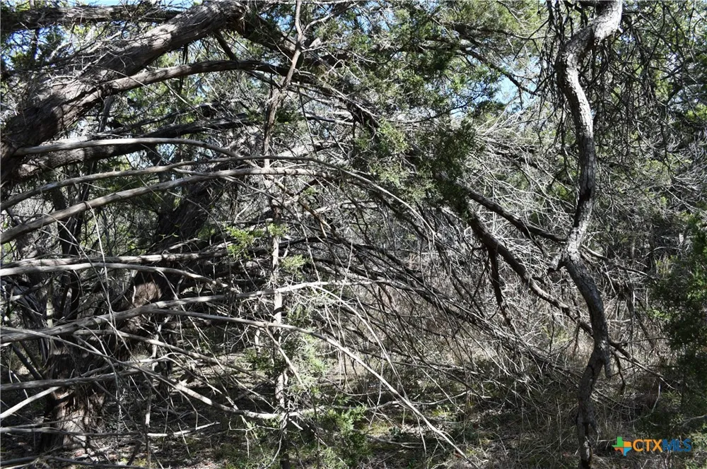 979 Deer Valley Pass Spring Branch, TX 78070