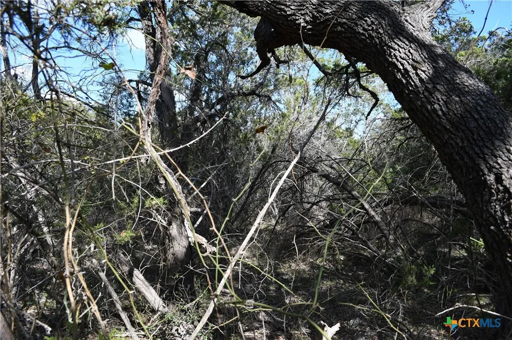 979 Deer Valley Pass Spring Branch, TX 78070