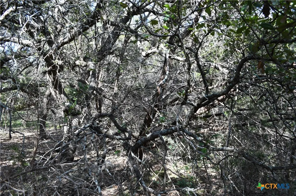 979 Deer Valley Pass Spring Branch, TX 78070