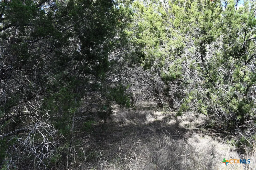 979 Deer Valley Pass Spring Branch, TX 78070