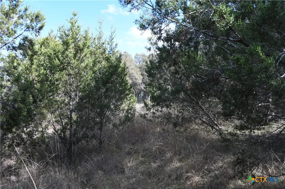 979 Deer Valley Pass Spring Branch, TX 78070
