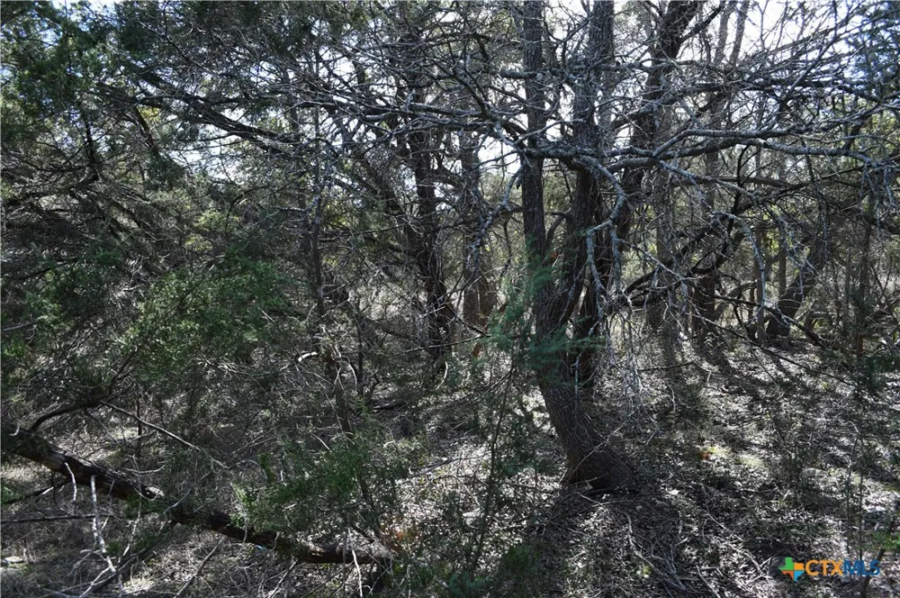 979 Deer Valley Pass Spring Branch, TX 78070