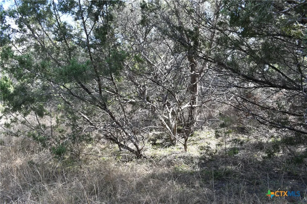 979 Deer Valley Pass Spring Branch, TX 78070