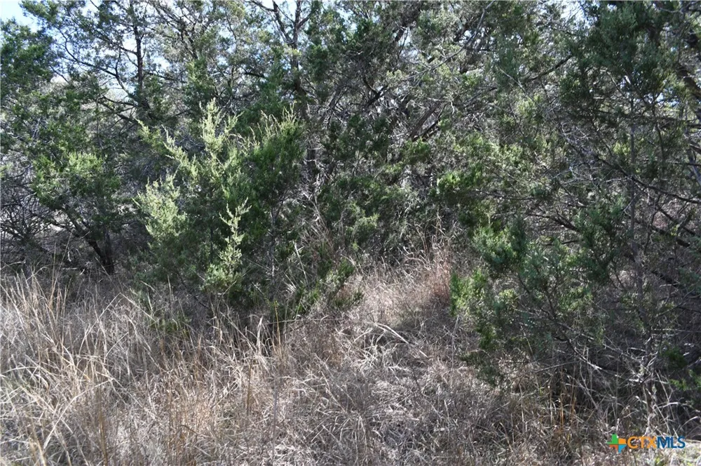 979 Deer Valley Pass Spring Branch, TX 78070