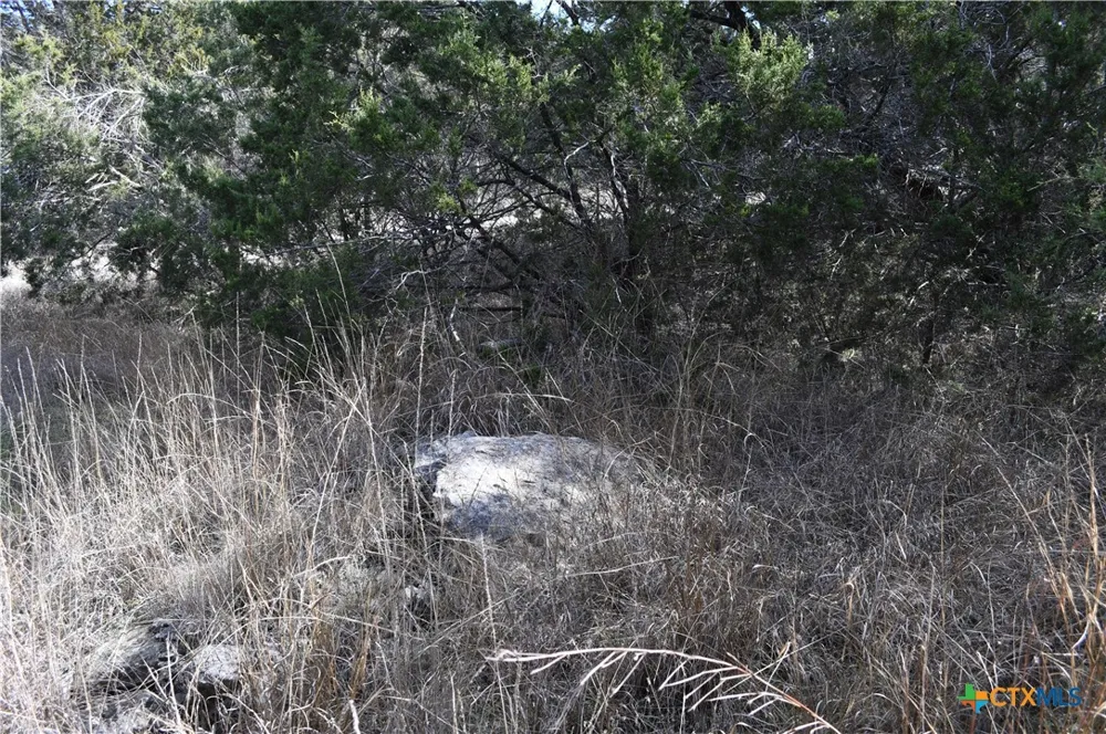 979 Deer Valley Pass Spring Branch, TX 78070