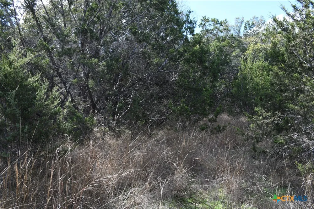 979 Deer Valley Pass Spring Branch, TX 78070