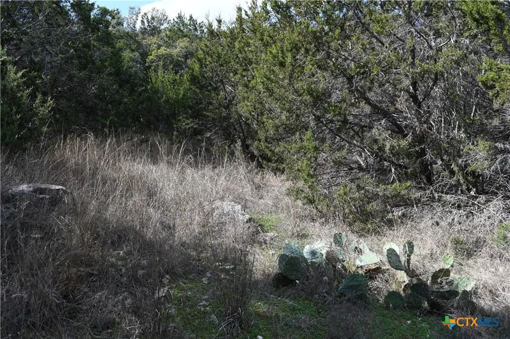 979 Deer Valley Pass Spring Branch, TX 78070