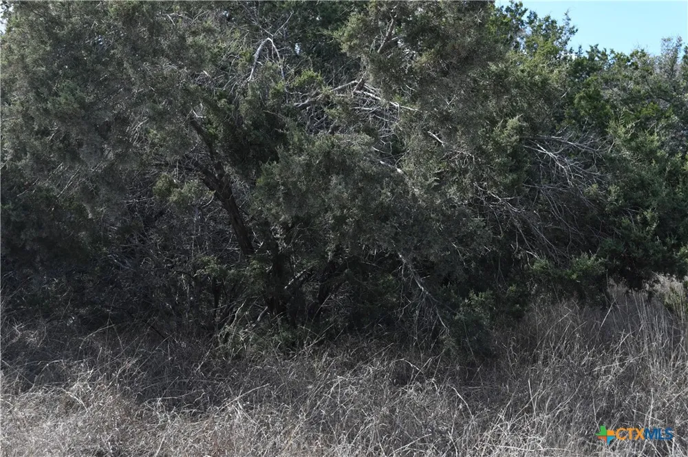 979 Deer Valley Pass Spring Branch, TX 78070