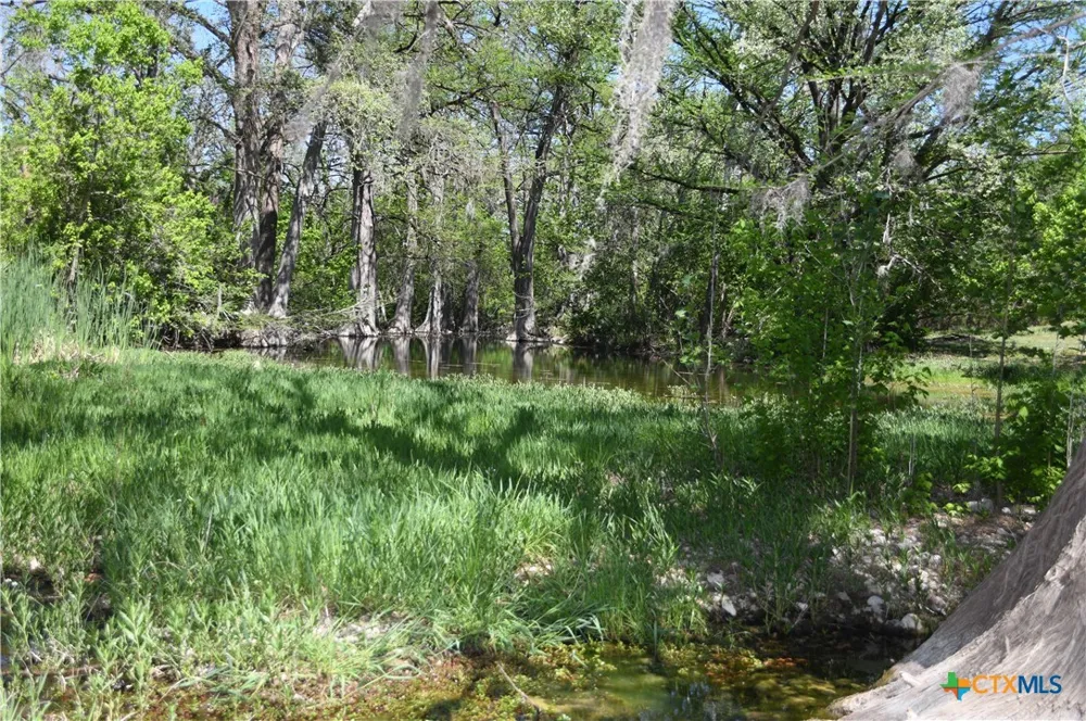 979 Deer Valley Pass Spring Branch, TX 78070