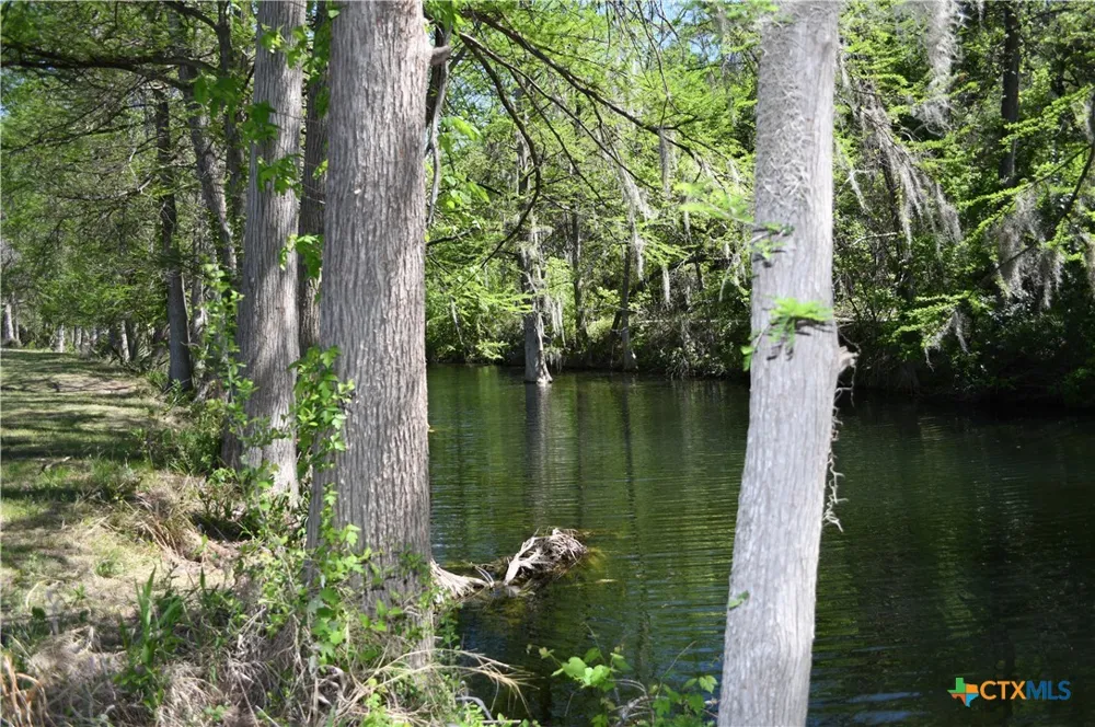 979 Deer Valley Pass Spring Branch, TX 78070