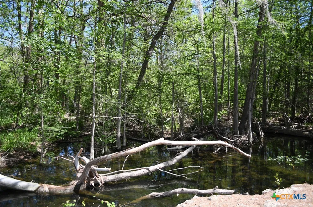 979 Deer Valley Pass Spring Branch, TX 78070