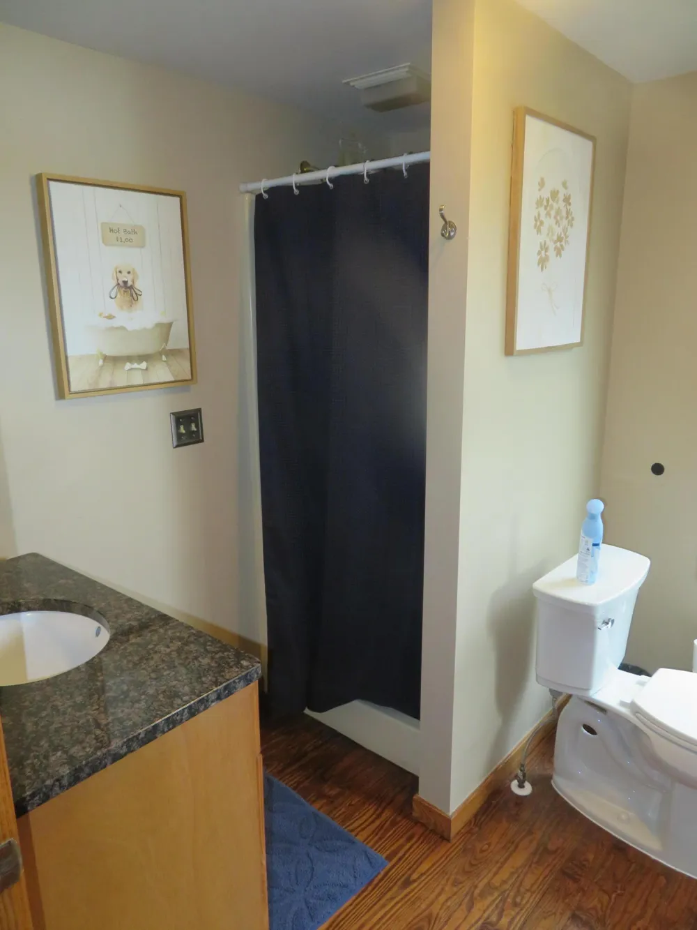 12004 Elmdale Drive Manchester, MI 48158