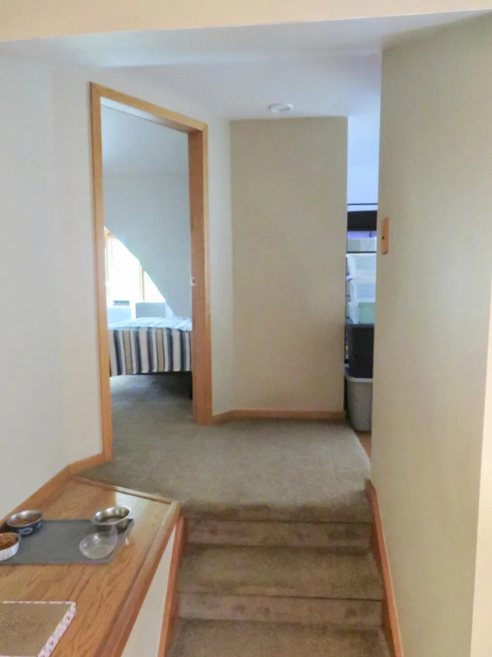 12004 Elmdale Drive Manchester, MI 48158