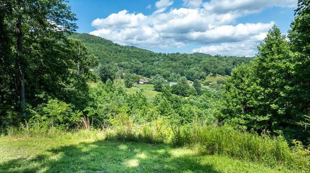 Mane Loop Road Franklin, NC 28734