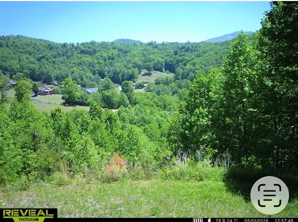 Mane Loop Road Franklin, NC 28734