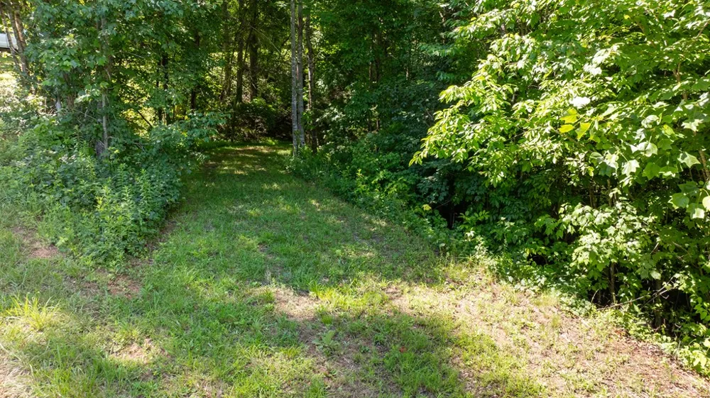 Mane Loop Road Franklin, NC 28734