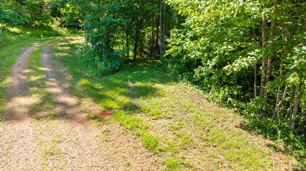 Mane Loop Road Franklin, NC 28734