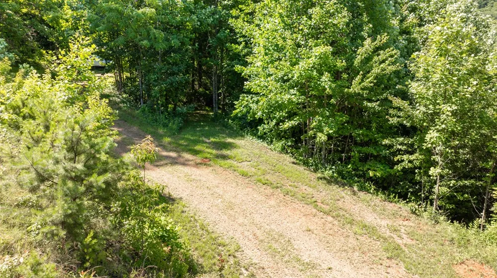 Mane Loop Road Franklin, NC 28734