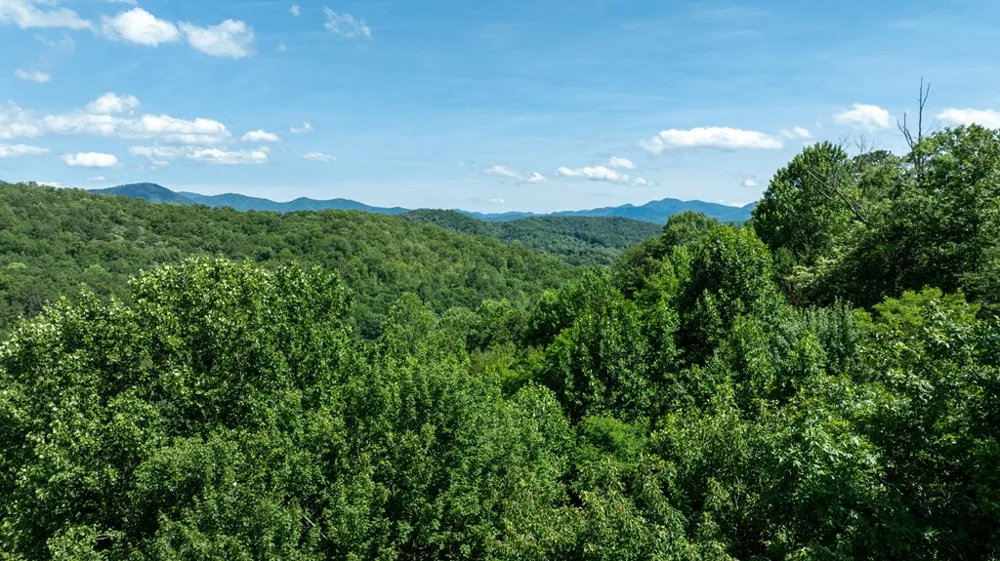 Mane Loop Road Franklin, NC 28734