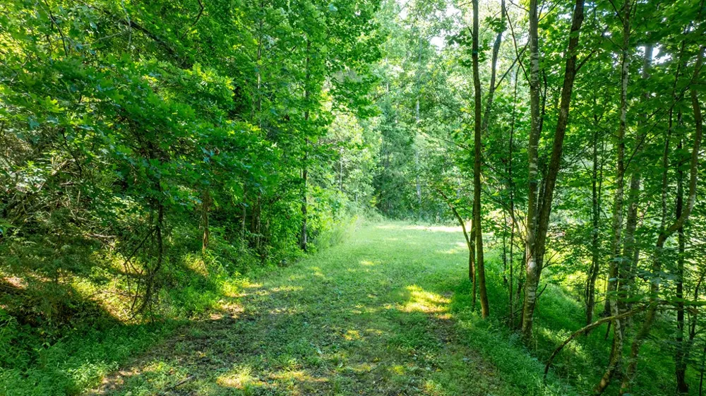 Mane Loop Road Franklin, NC 28734