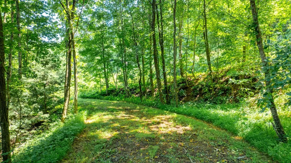 Mane Loop Road Franklin, NC 28734