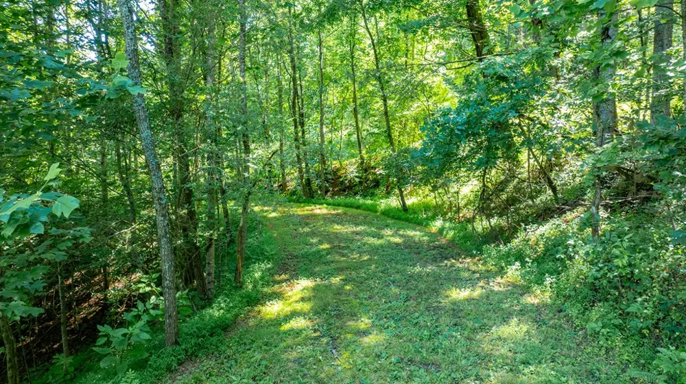 Mane Loop Road Franklin, NC 28734