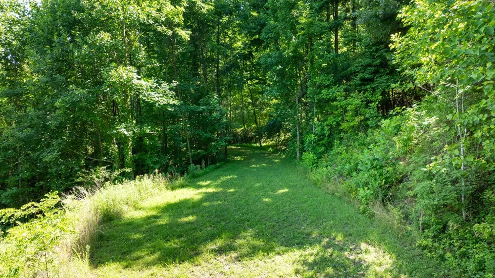 Mane Loop Road Franklin, NC 28734