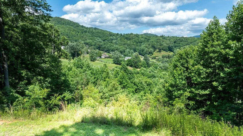 Mane Loop Road Franklin, NC 28734