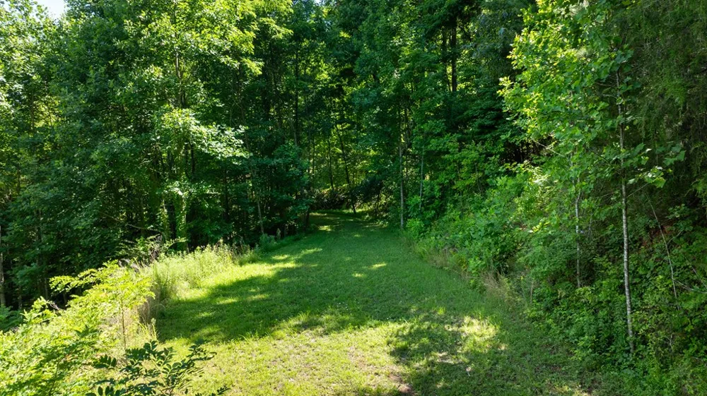 Mane Loop Road Franklin, NC 28734